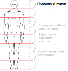 Правило 8 голов