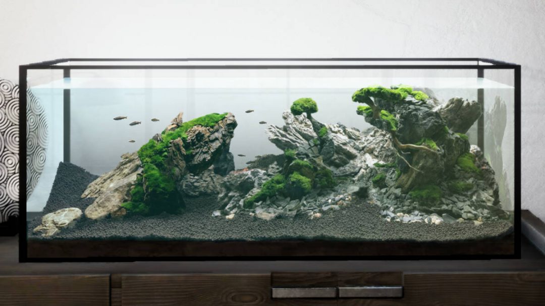 Издательство PlayWay выпустит симулятор дизайнера аквариумов Aquascaping
