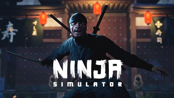 Компания PlayWay выпустит Ninja Simulator