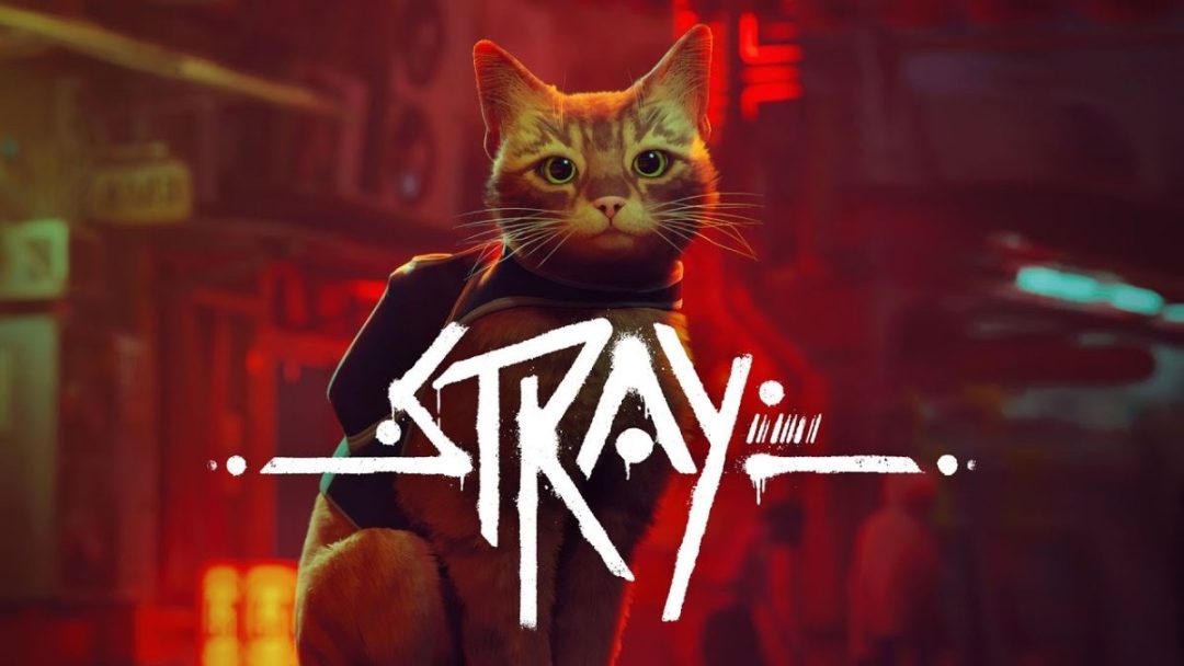 Stray coming to Xbox One and Xbox Series